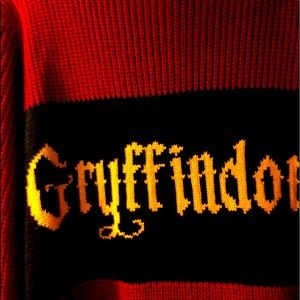 Harry Potter: hooded sweater of Gryffindor